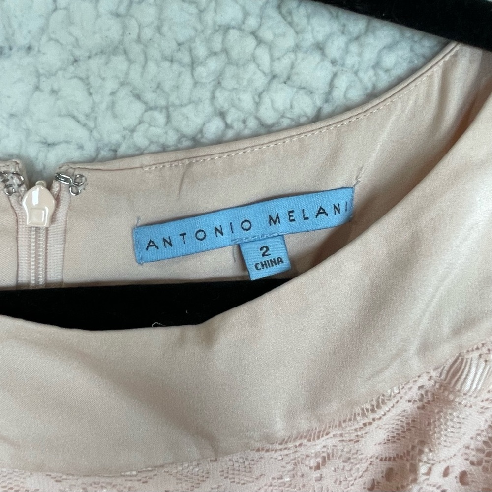 ANTONIO MELANI Blush Lace Sheath Dress - Picture 4 of 16